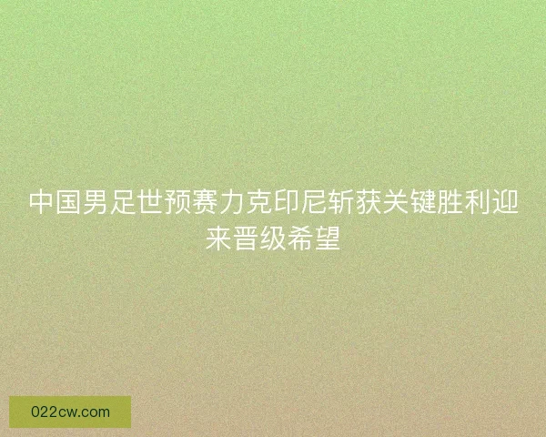 中国男足世预赛力克印尼斩获关键胜利迎来晋级希望