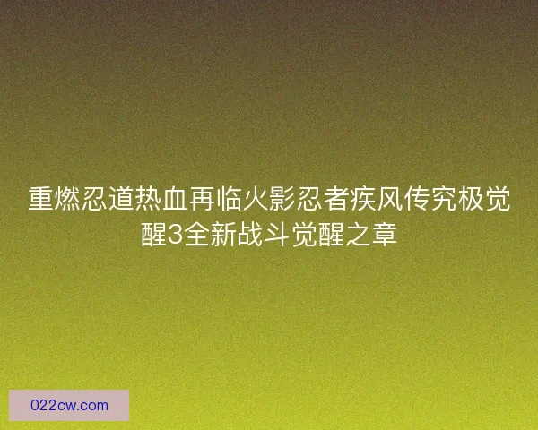 重燃忍道热血再临火影忍者疾风传究极觉醒3全新战斗觉醒之章